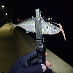 アジ