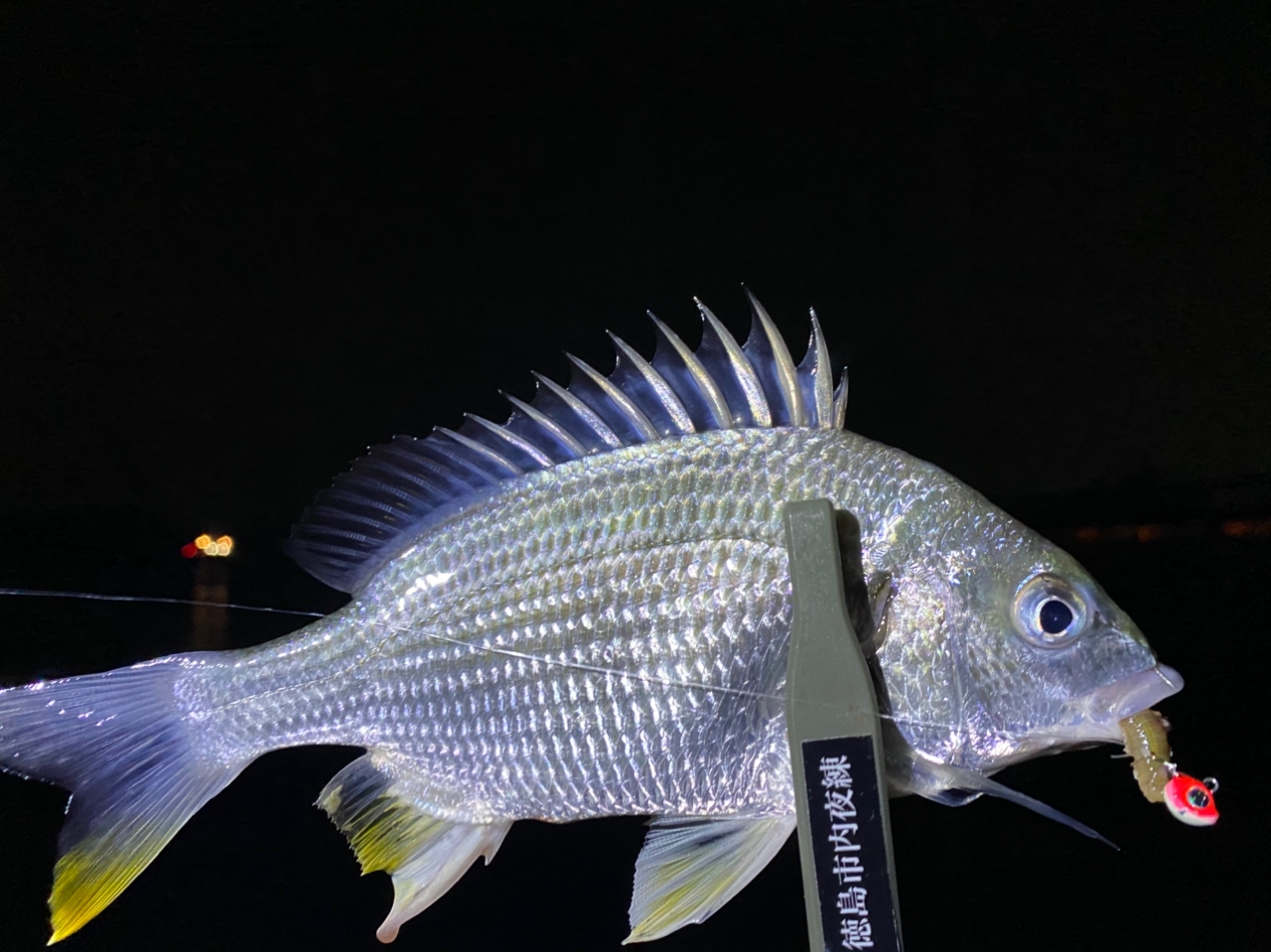 伝統釣法】「かぶせ釣り」で堤防の巨影に迫る-タックル編