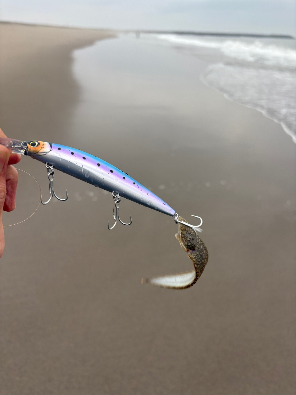 DAIWA 19ラテオ R 110Mの最安値・インプレ・釣果 | 本音の口コミ