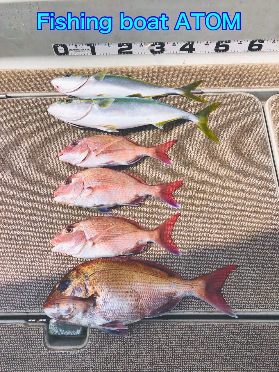 fishingboat.atomさんの釣果 2枚目の画像