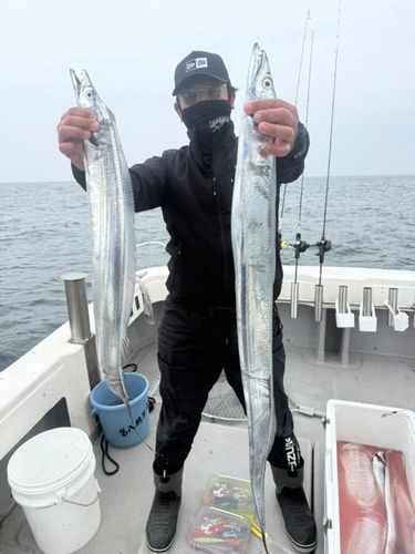 タチウオの釣果