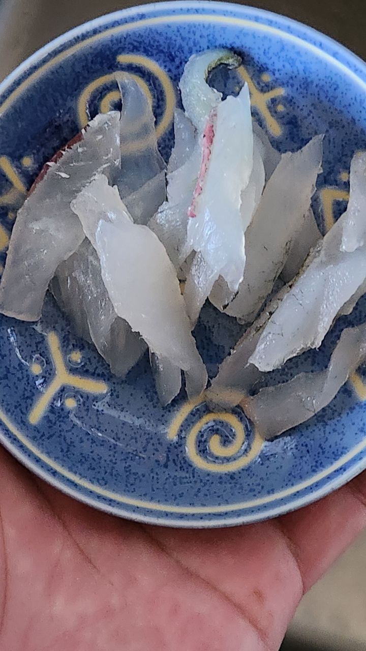 サヨリ