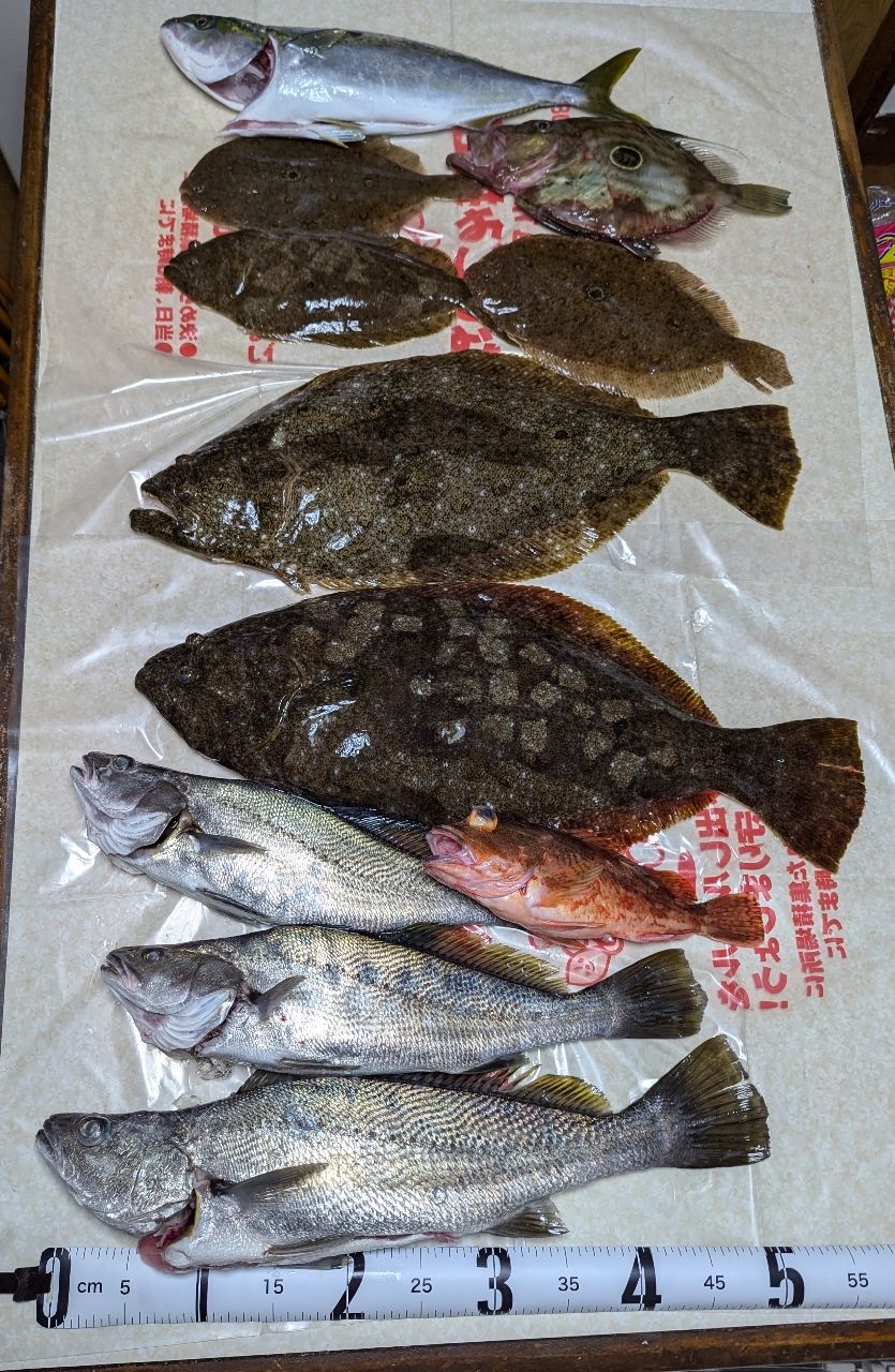 れんくんさんの釣果 1枚目の画像