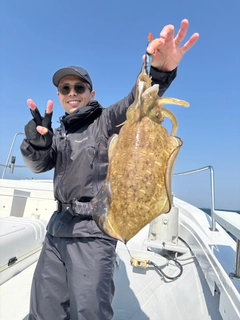 モンゴウイカの釣果