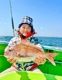 マダイの釣果