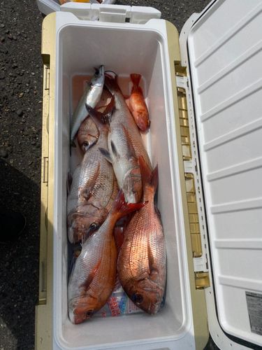 釣果