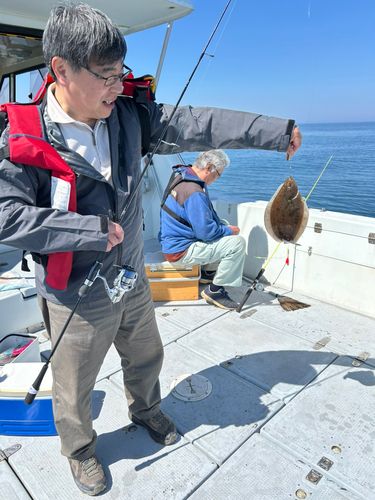 カレイの釣果