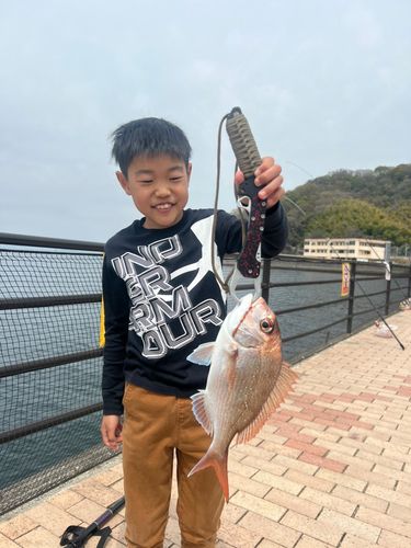 タイの釣果