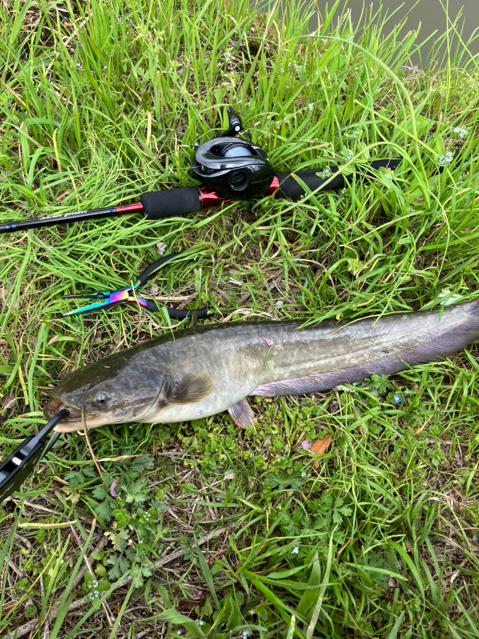 SHIMANO 19スコーピオン 1652R-2の最安値・インプレ・釣果