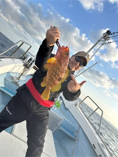 キジハタの釣果
