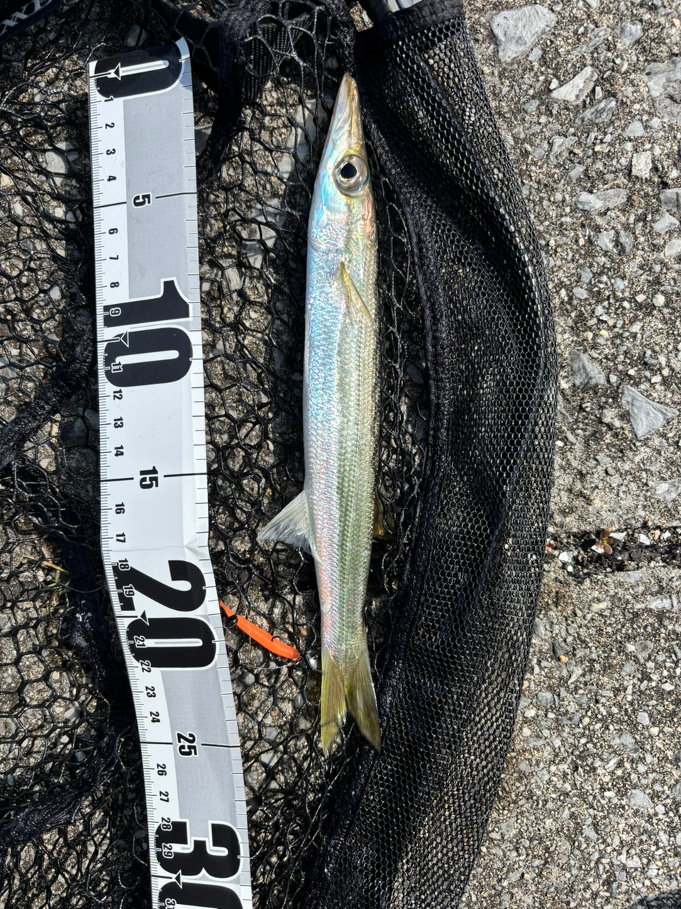 SHIMANO 23ルアーマチック (バス推奨モデル) S66Lの最安値