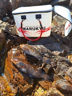 釣果