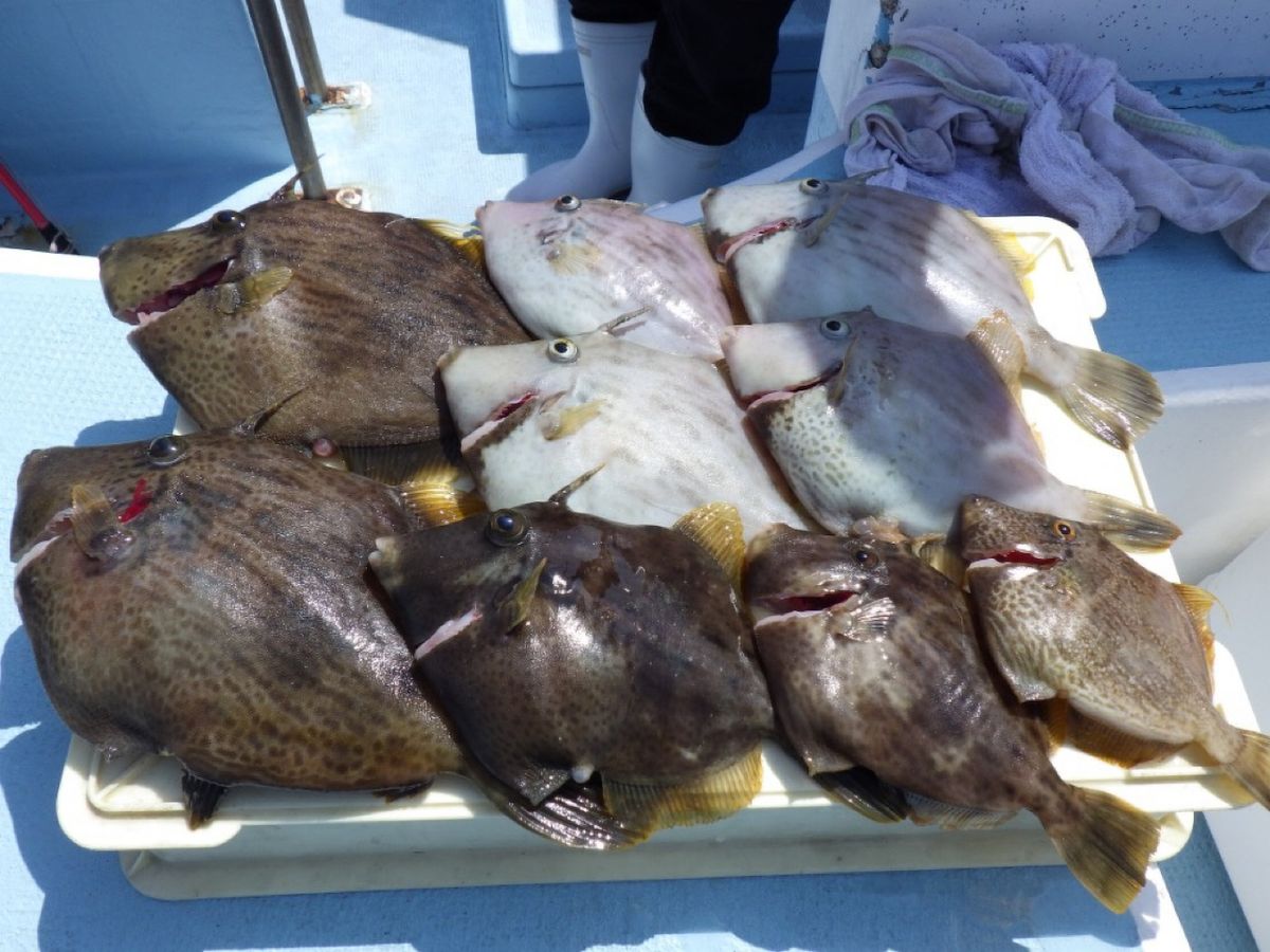 石川釣船@船長さんの釣果 3枚目の画像