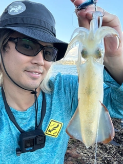 イカの釣果