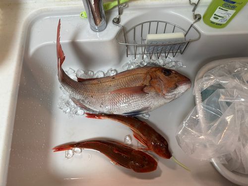 タイ