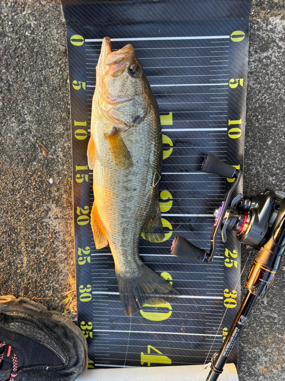 DAIWA 20リベリオン（センターカット2ピース スピニングモデル