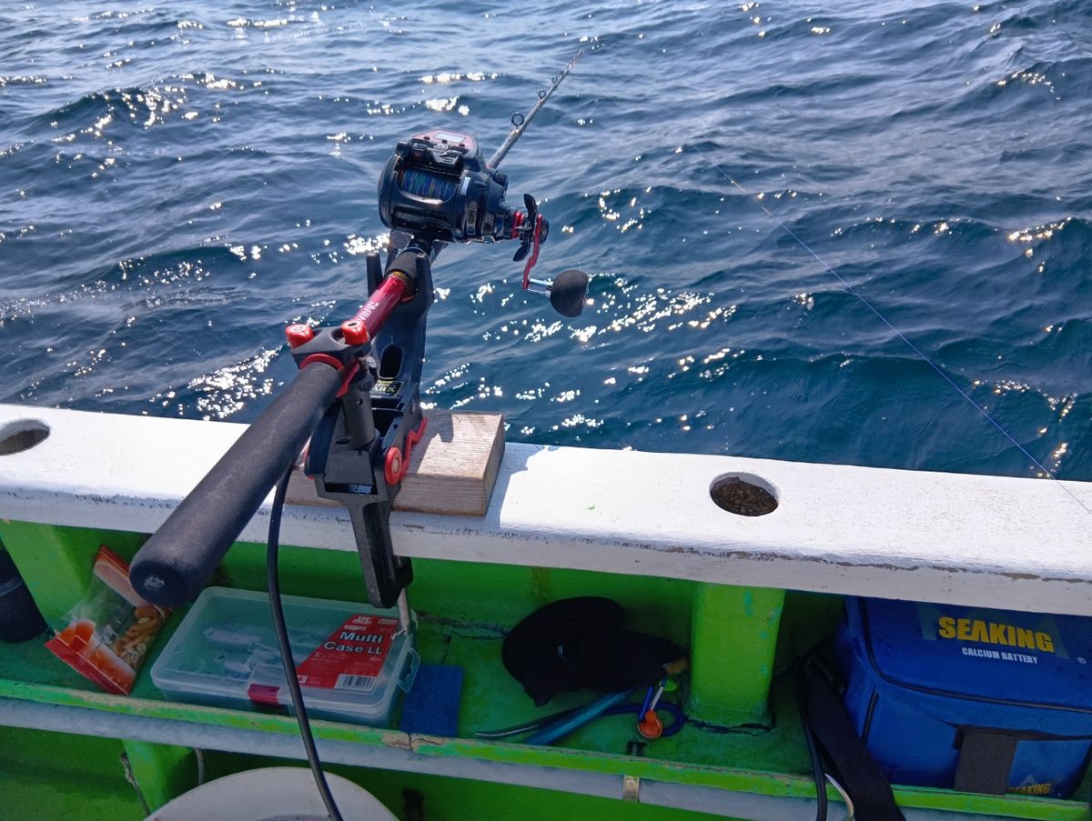 にゃんすけさんの釣果 3枚目の画像
