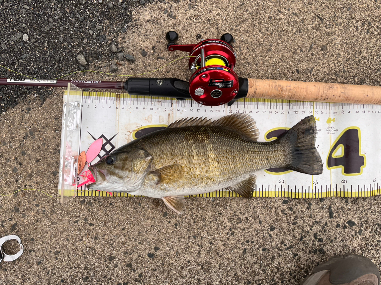 AbuGarcia ズームサファリ ZMSC-665Mの最安値・インプレ・釣果 AbuGarcia ズームサファリ ZMSC-665Mの最安値・インプレ・釣果