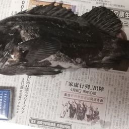 クロソイ