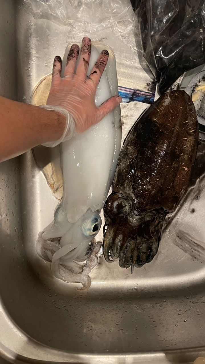 aragorunさんの釣果 3枚目の画像