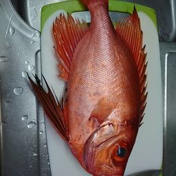 チカメキントキ