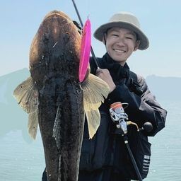 マゴチ
