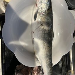 サクラマス