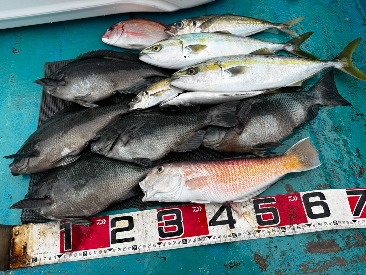 清和丸さんの釣果 2枚目の画像