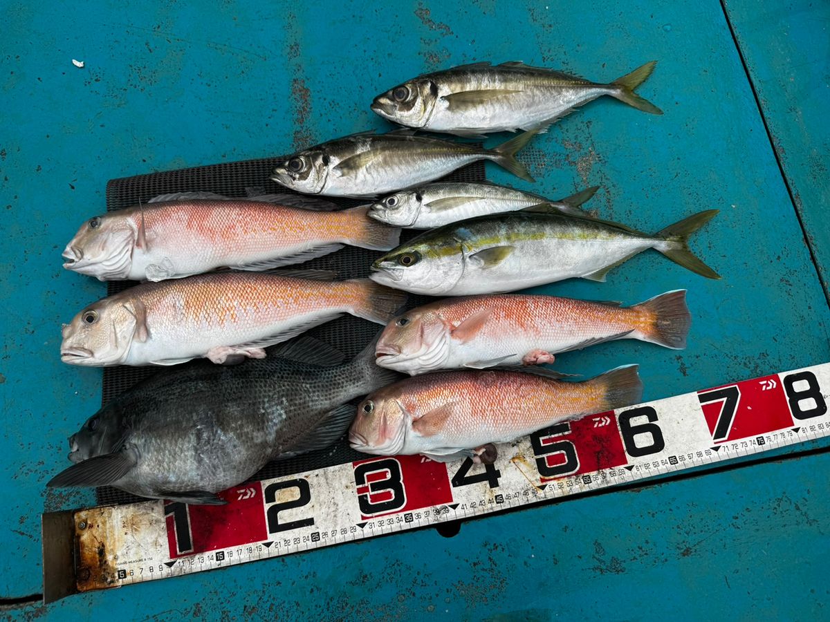 清和丸さんの釣果 3枚目の画像