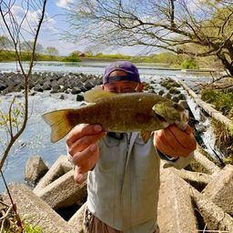 スモールマウスバス