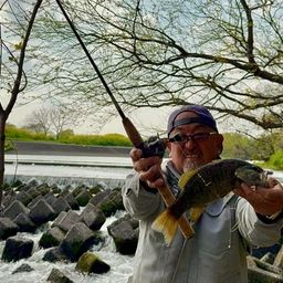 スモールマウスバス