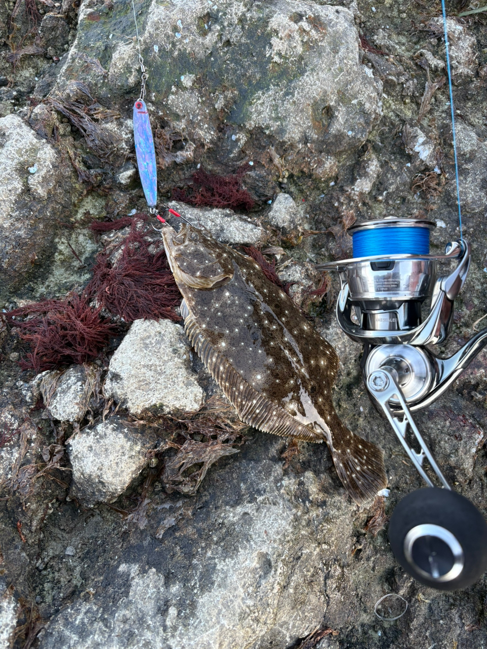 DAIWA 22イグジスト LT5000-CXHの最安値・インプレ・釣果 | 本音 DAIWA 22イグジスト LT5000-CXHの最安値・インプレ・釣果 | 本音