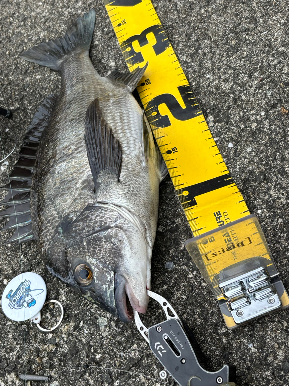 SHIMANO 20ゾディアス 270M-2の最安値・インプレ・釣果 | 本音の