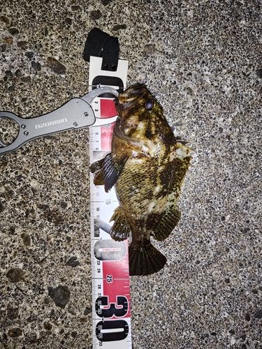 釣果