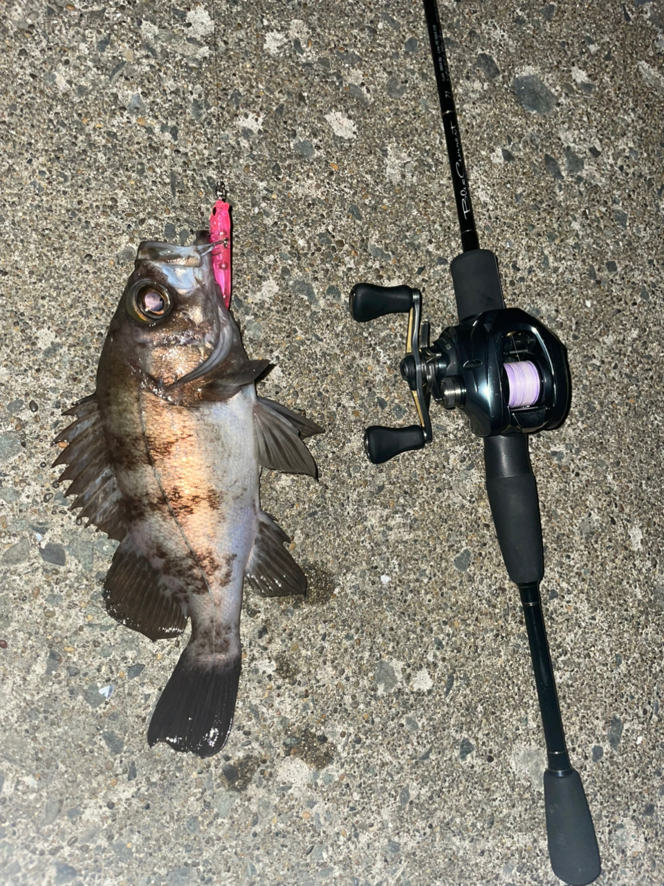 SHIMANO 22アルデバラン BFS XG LEFTの最安値・インプレ・釣果 SHIMANO 22アルデバラン BFS XG LEFTの最安値・インプレ・釣果