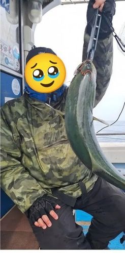 ワラサの釣果