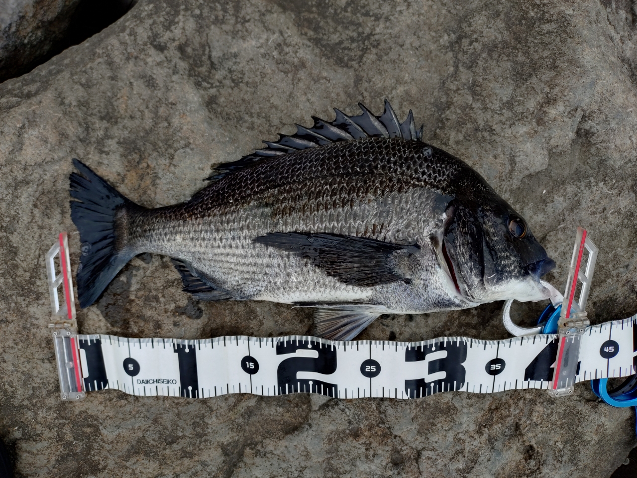 SHIMANO 20エクスセンス MB S88ML-5の最安値・インプレ・釣果