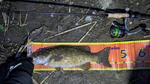 釣果