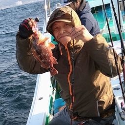 ウッカリカサゴ