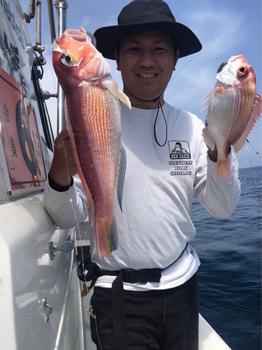 アマダイの釣果