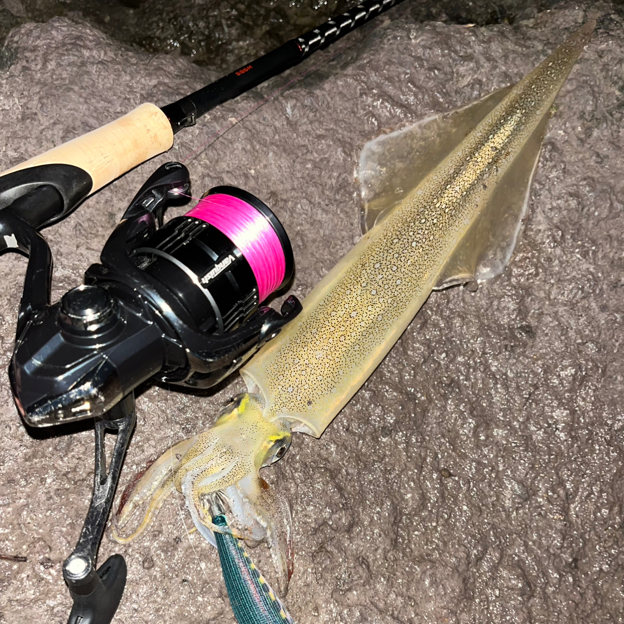 SHIMANO 20セフィア エクスチューン S86Mの最安値・インプレ