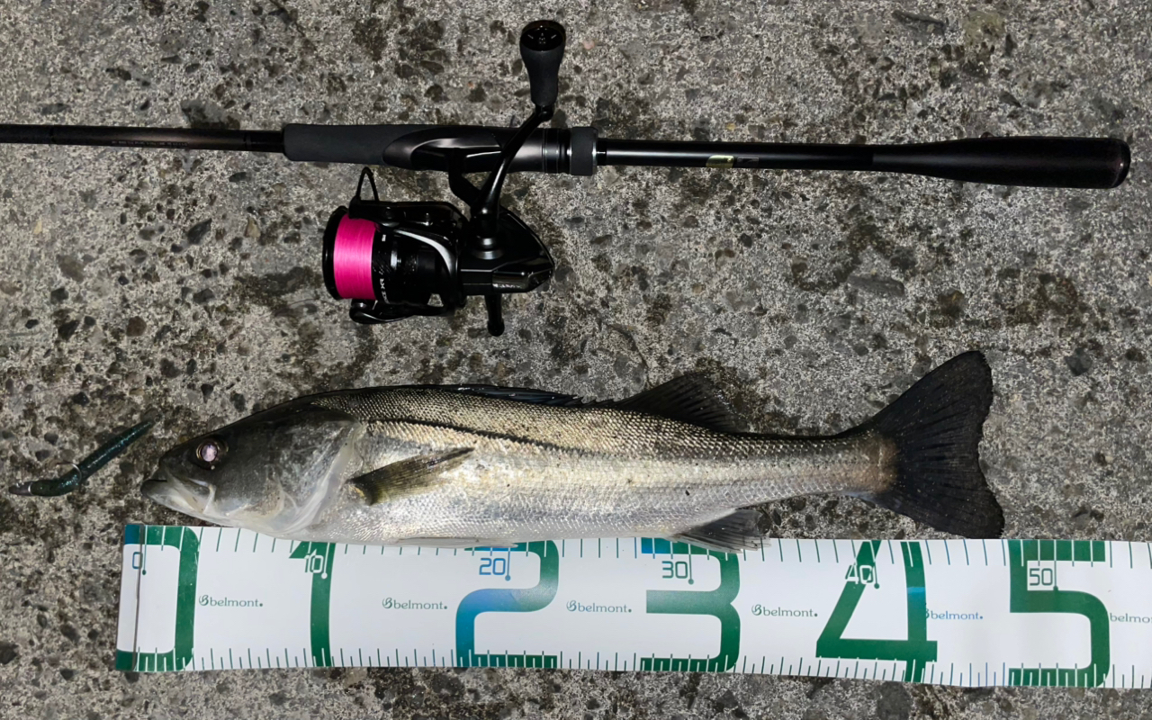SHIMANO 23ディアルーナ S90MLの最安値・インプレ・釣果 | 本音