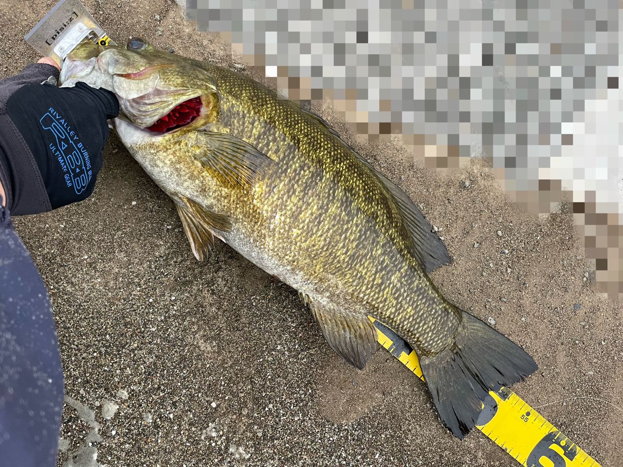 スモールマウスバス