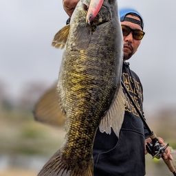 スモールマウスバス