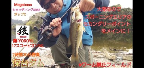ブラックバスの釣果