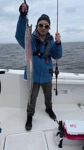 タチウオの釣果