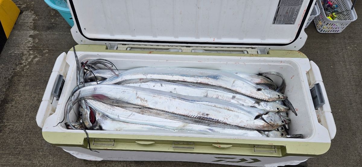 新政丸さんの釣果 1枚目の画像