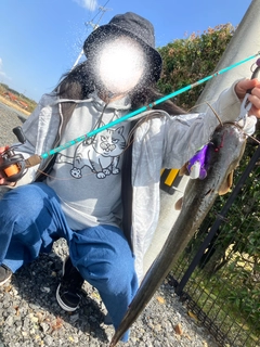ナマズの釣果