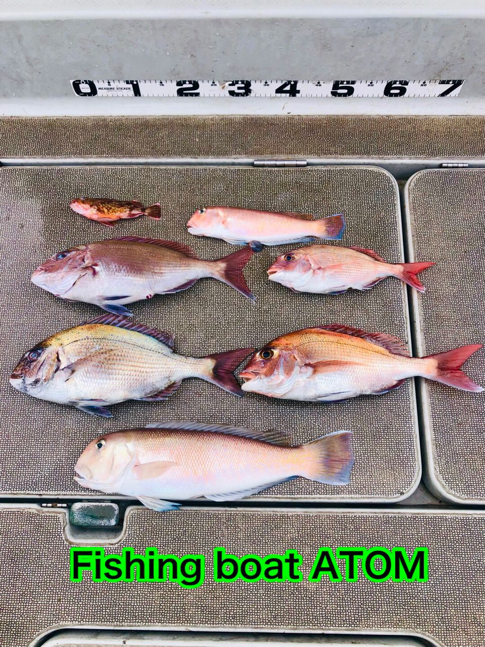 fishingboat.atomさんの釣果 2枚目の画像