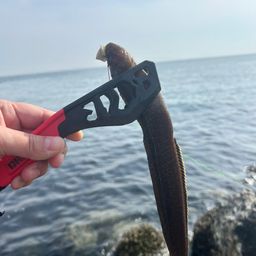 ダイナンギンポ